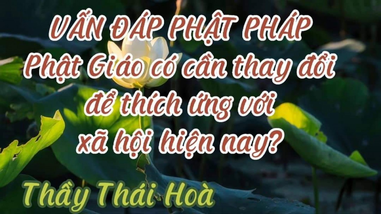 Vấn Đáp Phật Pháp: Phật giáo có cần thay đổi để thích ứng với xã hội hiện nay? (Thầy Thái Hoà)