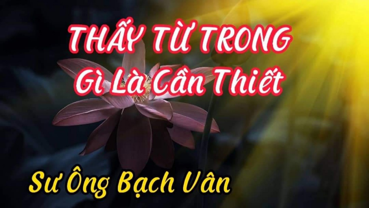 THẤY TỪ TRONG Gì Là Cần Thiết (Sư Ông Bạch Vân)