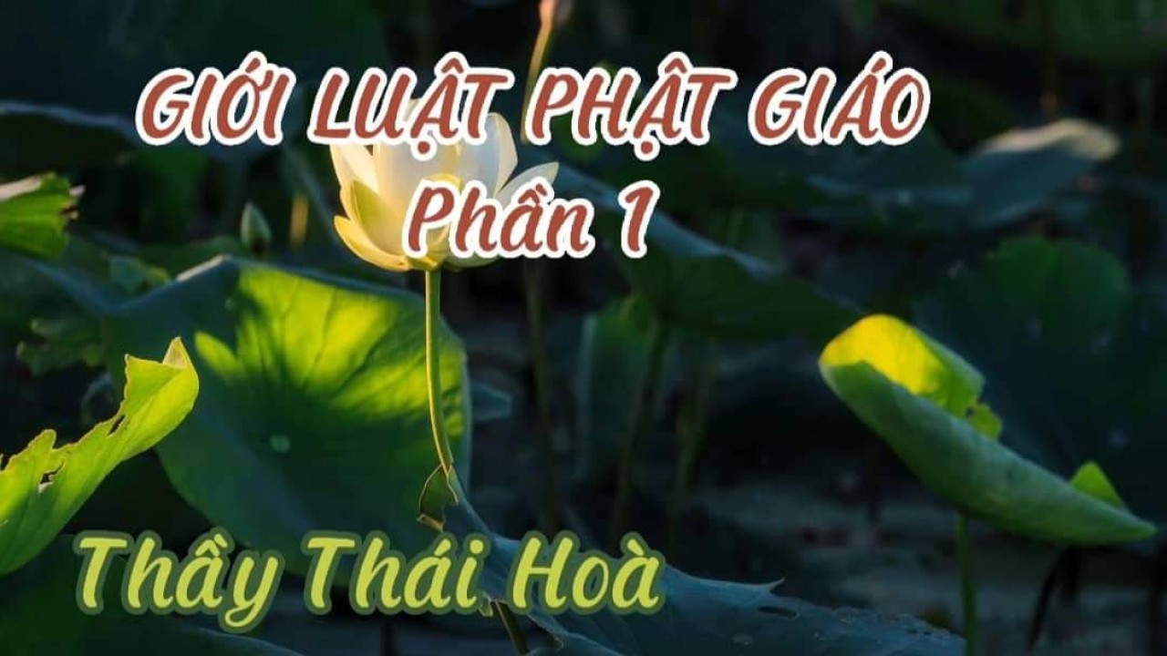 GIỚI LUẬT PHẬT GIÁO (Phần 1) (Thầy Thái Hoà)