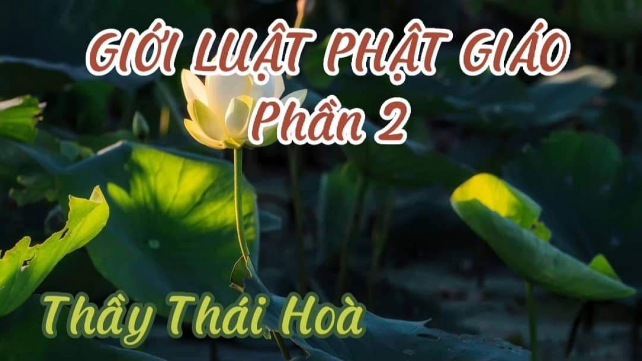 GIỚI LUẬT PHẬT GIÁO (Phần 2) (Thầy Thái Hoà)