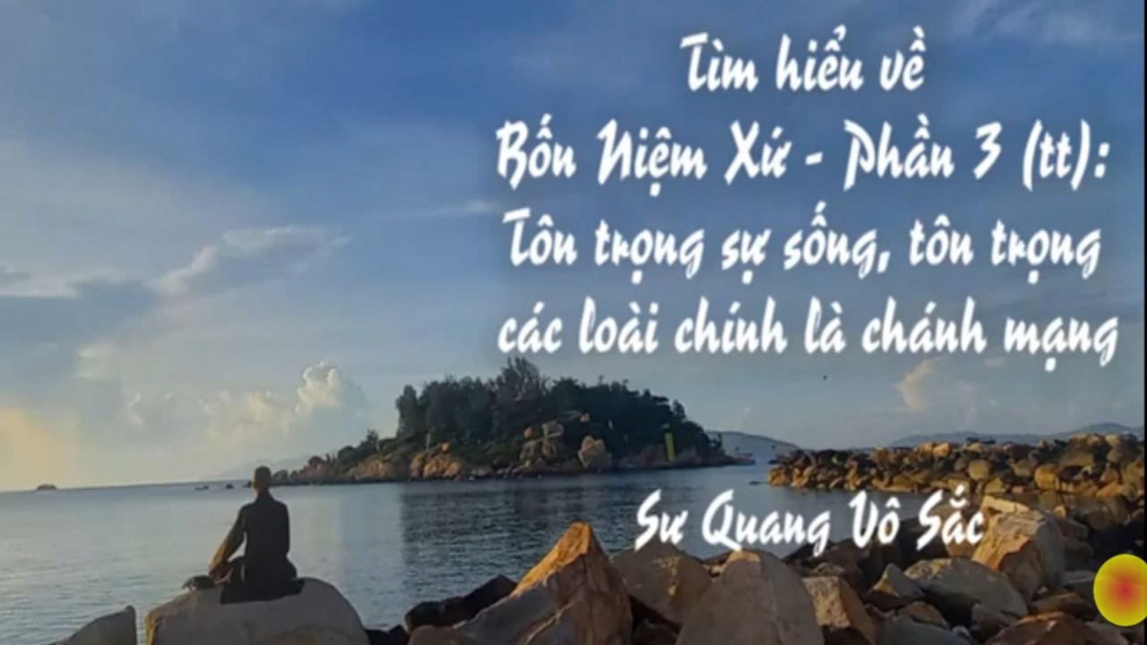 Tìm hiểu về Bốn niệm xứ - Phần 3 (tt) -Tôn trọng sự sống, tôn trọng các loài chính là chánh mạng