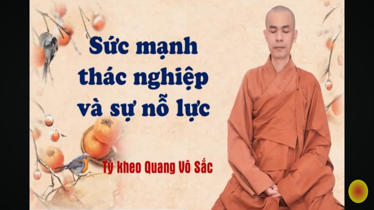 SỨC MẠNH THÁC NGHIỆP & SỰ NỖ LỰC | Tỳ kheo Quang Vô Sắc